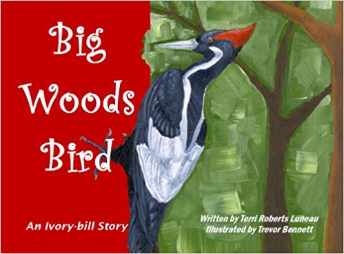 "Big Woods Bird: an Ivory-Bill Story" book cover