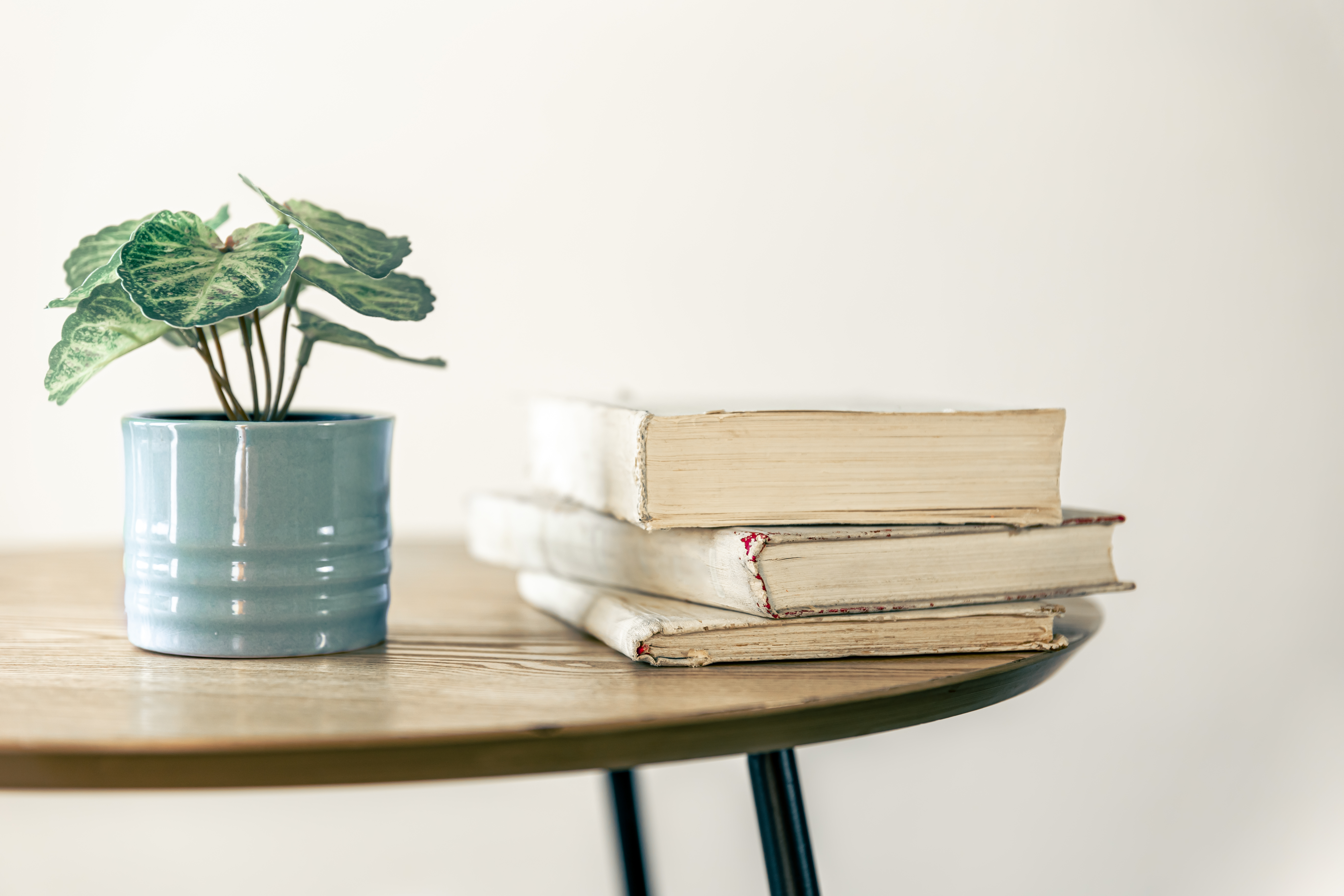 A stack of books next to a house plant on a table. 