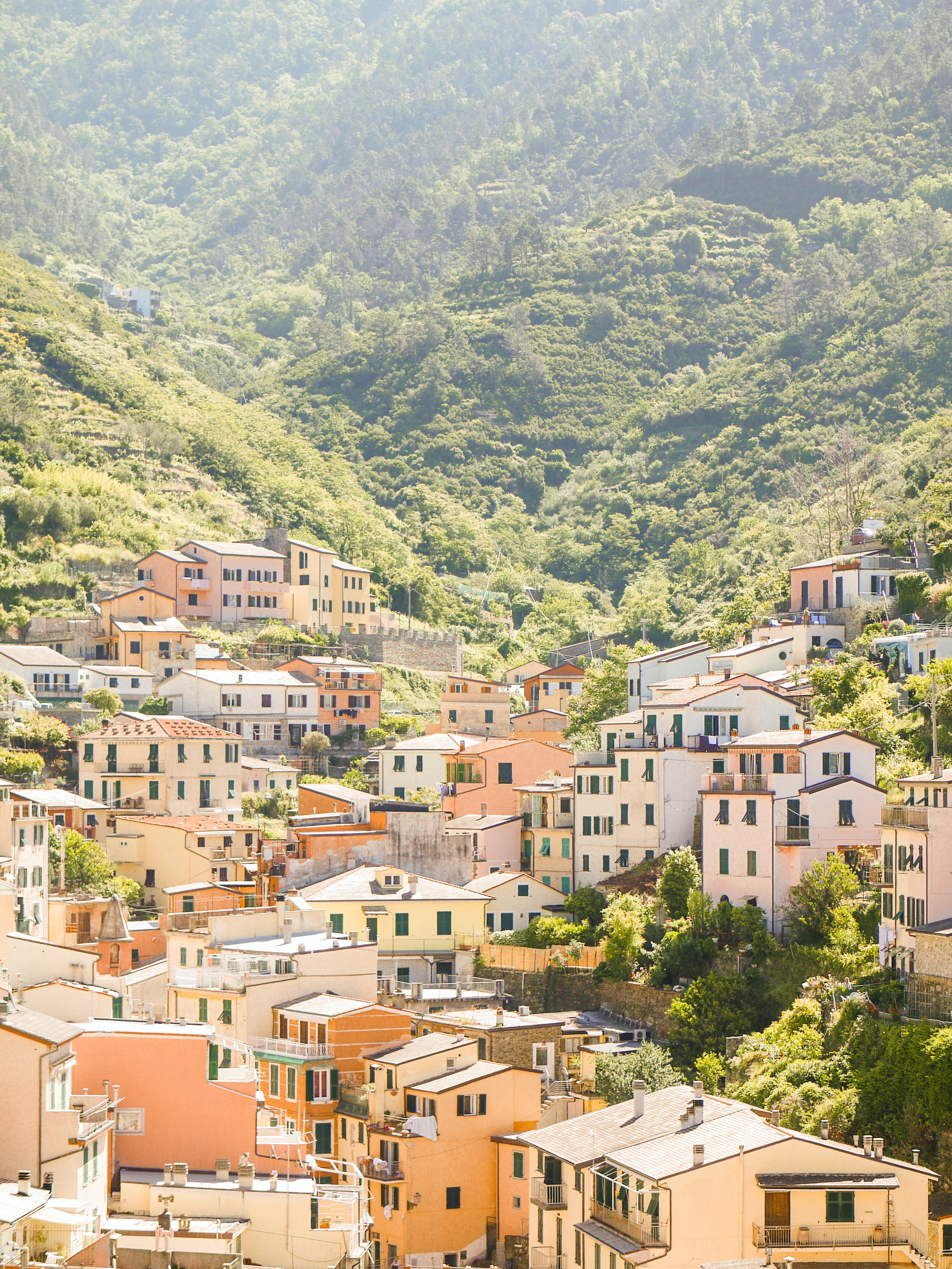 Brick and stone houses line the luscious hillside of Italy.