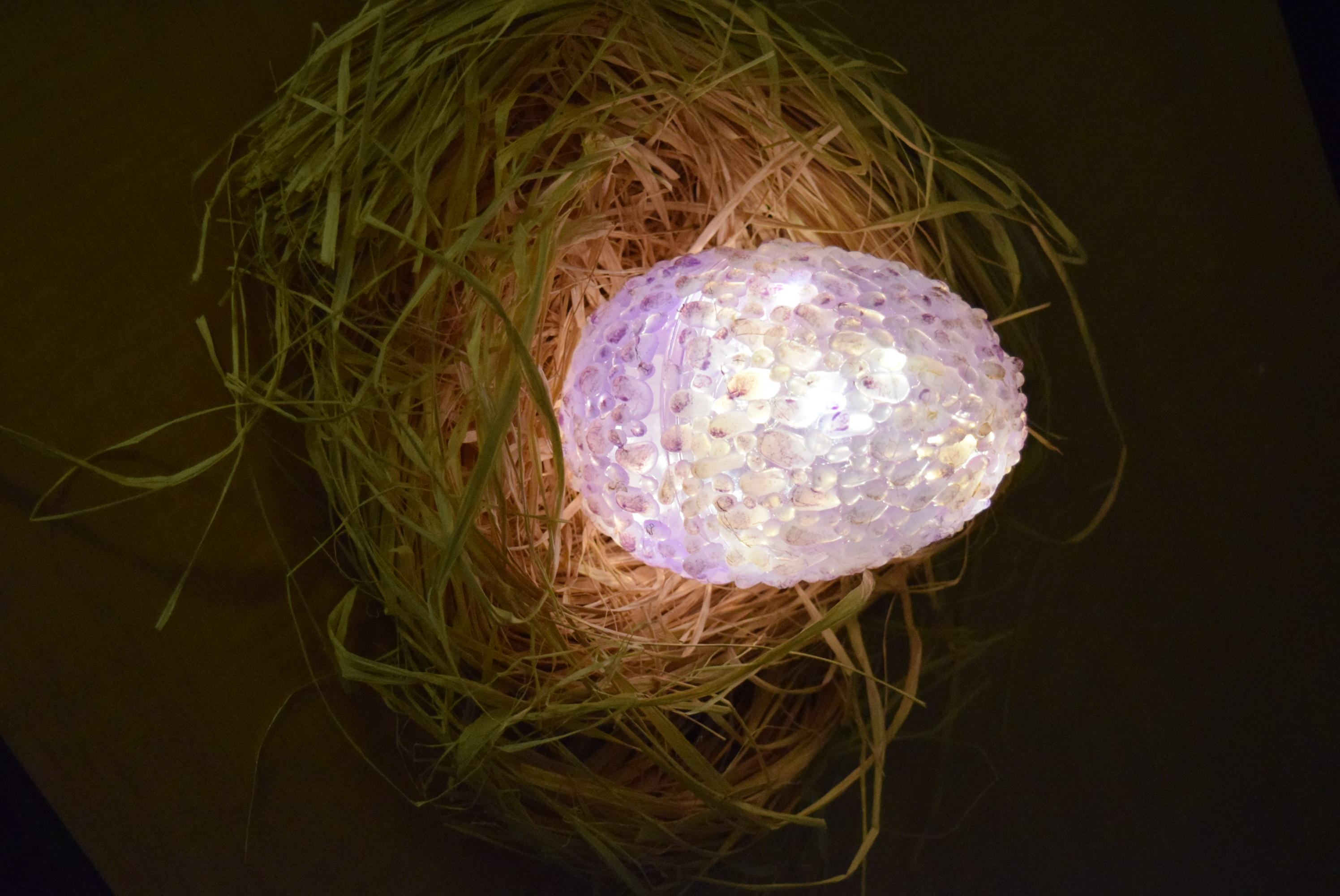 A picture of a purple egg with scales and a dusting of gold color glowing in a raffia nest.