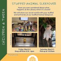 Baxter County Library Stuffed Animal Sleepover